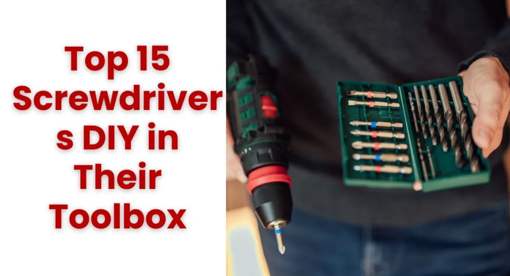 Top 15 Screwdrivers Every DIY Enthusiast Needs in Their Toolbox